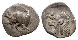 Mysia, Kyzikos, c. 450-400 BC. AR Hemiobol (8mm, 0.41g, 3h). Forepart of boar l.; tunny to r. R/ Head of lion l.; star to l.; all within incuse square...