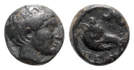 Mysia, Pergamon, c. 440-350 BC. Æ (7mm, 1.11g, 9h). Male head r. R/ Head of boar r.; slug (?) above. SNG Copenhagen 314. Rare, near VF