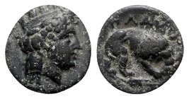 Mysia, Plakia, 4th century BC. Æ (10mm, 1.34g, 6h). Turreted head of Kybele r. R/ Lion standing r., devouring prey, on grain ear. SNG BnF 2378–82. Gre...
