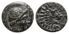 Troas, Antandros, c. 4th-3rd centuries BC. Æ (14mm, 3.83g, 6h). Laureate head of Apollo r. R/ Head of a roaring lion r.; grape bunch below. SNG Ashmol...