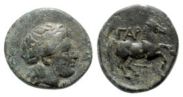 Troas, Gargara, 4th century BC. Æ (16mm, 3.90g, 2h). Laureate head of Apollo r. R/ Horse running r. SNG Copenhagen 316. About VF