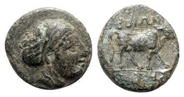 Aeolis, Boione, c. 4th century BC. Æ (10mm, 1.45g, 3h). Female head r. R/ BOIΩN[TIKΩN], Bull standing r. SNG Copenhagen 29; SNG von Aulock 7678; SNG M...