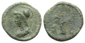Anonymous, tiime of Domitian to Antoninus Pius, (81-161). Æ Quadrans (13mm, 2.28g, 12h). Rome. Helmeted and draped bust of Minerva l. R/ Olive tree. R...