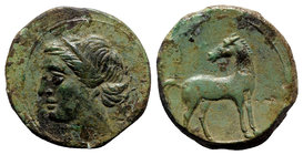 Bruttium, Carthaginian occupation, c. 215-205 BC. Æ (22mm, 8.05g, 3h). Wreathed head of Tanit-Demeter l. R/ Horse standing r., head reverted. HNItaly ...