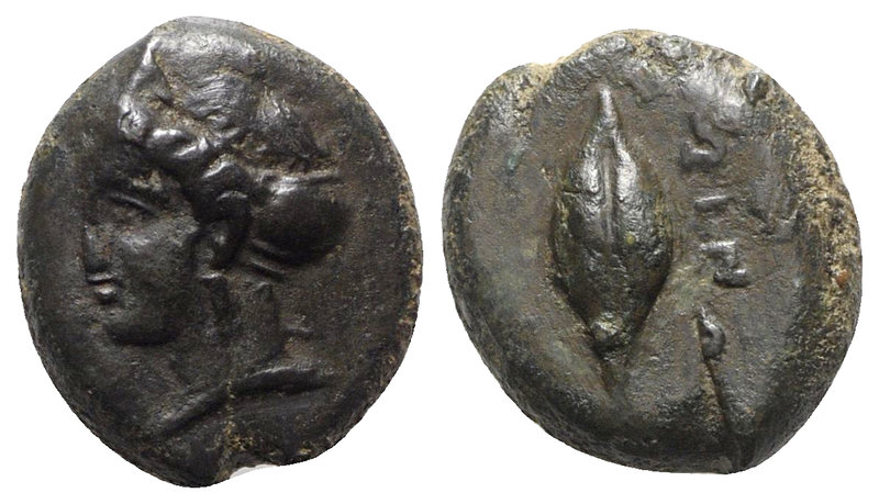 Sicily, Adranon, c. 340-330 BC. Æ (13mm, 2.74g). Female head l., wearing sphendo...