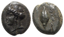 Sicily, Adranon, c. 340-330 BC. Æ (13mm, 2.74g). Female head l., wearing sphendone. R/ Grain kernel. Campana -; CNS III, -; HGC 2, -. Extremely Rare,