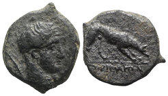 Sicily, Agyrion, c. 338-317 BC. Æ Hemilitron (18mm, 4.19g, 9h). Male head r. R/ Hound scenting r. Campana 14; CNS III, 16; SNG ANS -; HGC 2, 58. Scarc...