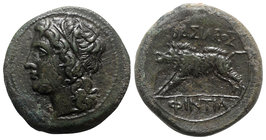 Sicily, Akragas. Phintias (287-279 BC). Æ (20mm, 6.01g, 6h). c. 282-279 BC. Wreathed head of Artemis l. R/ Boar standing l. CNS I, 117; SNG ANS 1122; ...