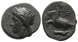 Sicily, Akragas. Phintias (287-279 BC). Æ (19mm, 6.04g, 3h). Laureate head of Apollo l. R/ Two eagles standing l., devouring dead hare. CNS I, 140; cf...