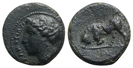 Sicily, Alontion, late 3rd century BC. Æ (12mm, 1.78g, 1h). Female head l. R/ Bull butting l.; A in exergue. Campana 5; CNS I, 3; SNG ANS 1192; HGC 2,...