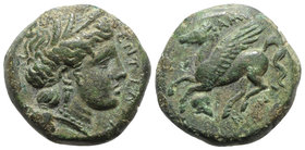 Sicily, Entella. Campanian mercenaries, c. 316/10-300/290 BC. Æ (20mm, 9.48g, 6h). Wreathed head of Persephone r. R/ Pegasos flying l.; helmet to lowe...
