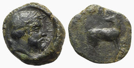 Sicily, Eryx, c. 410 BC. Æ Onkia (12mm, 1.58g, 9h). Bearded head r. R/ Hound standing r., head l. Campana 30; CNS I, 7; SNG ANS -; HGC 2, 317. Green p...