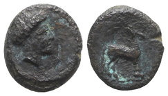 Sicily, Eryx, c. 4th century BC. Æ (10mm, 1.49g, 6h). Female head r. R/ Horse standing r. Campana 48b; CNS I, 16; SNG ANS -; HGC 2, 329. Rare, green p...