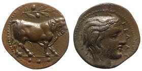 Sicily, Gela, c. 420-405 BC. Æ Tetras or Trionkion (17mm, 3.69g, 12h). Bull standing r.; olive-branch above. R/ Head of river-god r. CNS III, 41; cf. ...