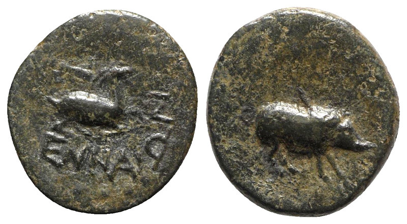 Sicily, Henna, c. 339/8-335 BC. Æ (13mm, 1.98g, 12h). Goat running r. R/ Boar ad...