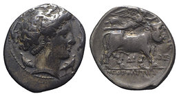 Southern Campania, Neapolis, c. 300 BC. AR Didrachm (21.5mm, 7.28g, 12h). Head of nymph to r., four dolphins around. R/ Man-headed bull walking r., cr...