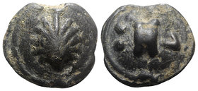 Northern Apulia, Luceria, c. 217-212 BC. Cast Æ Biunx (28mm, 24.20g). Scallop shell. R/ Astragalos; L to r., two pellets to l. Vecchi, ICC, 348; HNIta...