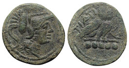 Northern Apulia, Teate, c. 225-200 BC. Æ Quincunx (25mm, 12.15g, 9). Head of Athena r., wearing crested Corinthian helmet. R/ Owl standing r. on Ionic...