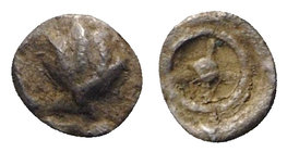 Southern Apulia, Tarentum, c. 480-470 BC. AR Hexas (3mm, 0.06g). Cockle shell. R/ Wheel of four spokes. Vlasto 1118; HNItaly 836. Rare, VF