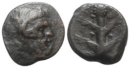 Kyrene, c. 250 BC. Æ (25mm, 12.90g, 12h). Head of Ammon r. R/ Silphium plant. SNG Copenhagen 1280; BMC 22-7. Good Fine