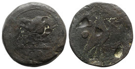 Anonymous, Rome, c. 217-215 BC. Æ Sextans (30mm, 24.65g, 5h). She-wolf standing r., head l., suckling the twins. R/ Eagle standing r., holding flower ...