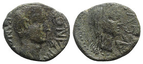 Tiberius with Julia Augusta (Livia, 14-37). Sicily, Panormus. Æ (22.5mm, 8.89g, 3h). Bare head of Tiberius r. R/ Veiled head of Julia Augusta (as Deme...