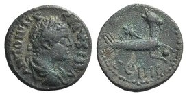 Caracalla (198-217). Mysia, Parium. Æ (23mm, 5.89g, 7h). Laureate, draped and cuirassed bust r. R/ Capricorn r., with globe between hooves and cornuco...