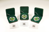 Canada. Elizabeth II. "Silver Maple Leaf Coloured Coin Series". Lote de 3 piezas de 5 dollars, 2002 (2) y 2003. Con cajas y certificados. PR. Est...80...