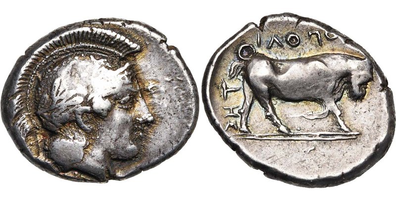 CAMPANIE, NEAPOLIS, AR didrachme, 420-400 av. J.-C. D/ T. casquée d'Athéna à d.,...