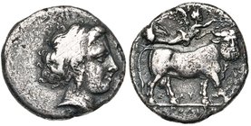 CAMPANIE, NEAPOLIS, AR didrachme, 320-300 av. J.-C. D/ T. de nymphe à d., portant une boucle d'oreille et un collier. Sous le cou, OΛ. R/ Taureau andr...
