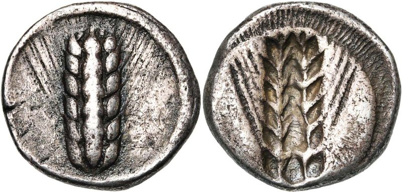 LUCANIE, METAPONTE, AR statère, vers 470-440 av. J.-C. D/ Epi de blé à six grain...