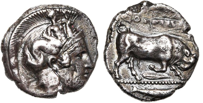 LUCANIE, THOURIOI, AR statère, vers 330 av. J.-C. D/ T. casquée d'Athéna à d., l...