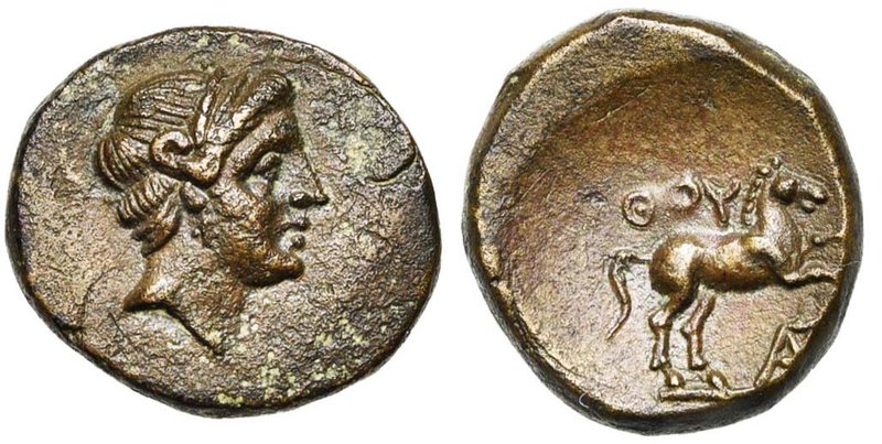 LUCANIE, THOURIOI, AE bronze, 300-250 av. J.-C. D/ T. l. d'Apollon à d. R/ Cheva...