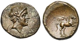 LUCANIE, THOURIOI, AE bronze, 300-250 av. J.-C. D/ T. l. d'Apollon à d. R/ Cheval cabré à d. Au-dessus, ΘOY. En dessous, AΣ. SNG ANS 1201; SNG Cop. 15...