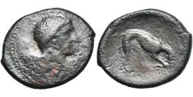 SICILE, AGYRION, AE bronze, 338-317 av. J.-C. D/ T. imberbe d'Héraclès à d., la peau de lion nouée autour du cou. R/ Panthère dévorant sa proie à d. S...