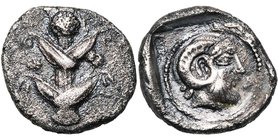 CYRENAIQUE, CYRENE, AR drachme, 480-435 av. J.-C. D/ Plant de silphium. R/ T. de Zeus Ammon à d., avec des cornes de bélier, dans un cercle perlé plac...