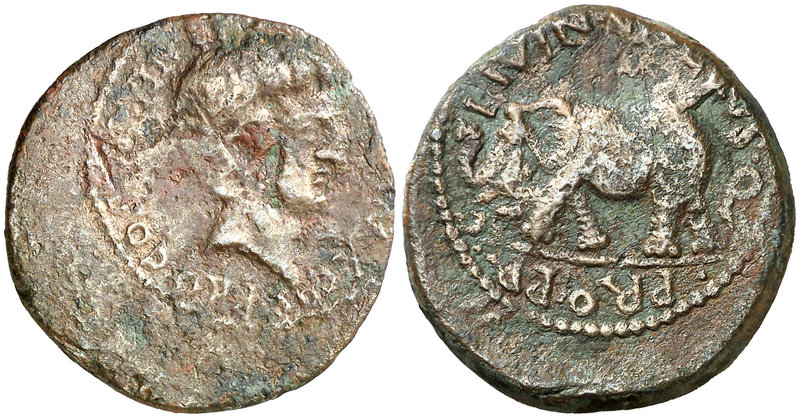 (6-5 a.C.). Octavio Augusto. Byzacene Hadrumetum. AE23. (Müller falta) (RPC. 781...