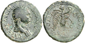 (77-78 d.C.). Domiciano. As. (Spink 2664 var) (Co. 630 var) (RIC. 1056 var, de Vespasiano). 10,76 g. MBC-.