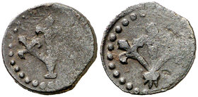 Lleida. Mitja pugesa. (Cru.L. 1765) (Cru.C.G. 3772b). 1,36 g. Escasa. BC+.