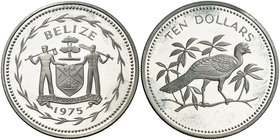 1975. Belice. 10 dólares. (Kr. 45a). 29,29 g. AG. S/C.