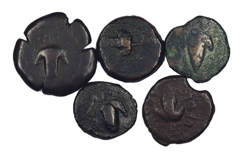 Acinipo (Ronda). Lote de 5 monedas con variantes. A examinar. BC-/MBC-.