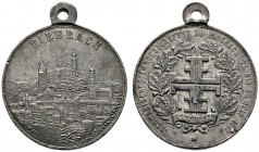 Altdeutsche Münzen und Medaillen 
 Biberach, Stadt 
 Tragbare Zinnmedaille 1881 unsigniert, auf das Schwäbische Landesturnfest zu Biberach. Stadtans...