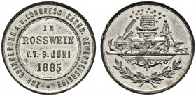 Altdeutsche Münzen und Medaillen 
 Sachsen-Albertinische Linie 
 Albert 1873-1902 
 Zinnmedaille 1885 unsigniert, auf den Kongreß Sächsischer Gewer...