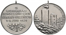 Thematische Medaillen 
 Werragau-Bundesschießen 
 5. Werragau-Bundesschießen zu Steinbach-Hallenberg 1929. Tragbare, mattierte Silbermedaille unsign...