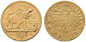 Deutsche Münzen und Medaillen ab 1871 
 Nebengebiete 
 Deutsch-Ostafrika 
 15 Rupien 1916 -Tabora-. Elefant mit erhabenem Rüssel vor Kilimandscharo...