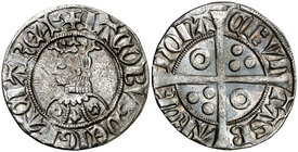 Jaume II (1291-1327). Barcelona. Croat. (Cru.V.S. 338.1) (Cru.C.G. 2155). 2,89 g. Flores de seis, cuatro y seis pétalos en el vestido. Rayitas. Escasa...