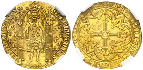 Francia. Carlos V (1364-1380). Franc à pied. (Fr. 284) (D. 360). 3,81 g. AU. En cápsula de la NGC como MS63, nº 4668584-002. Bella. Rara así. S/C-....