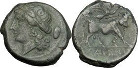 Greek Italy. Samnium, Southern Latium and Northern Campania, Cales. AE 21 mm, 265-240 BC. D/ Head of Apollo left; behind, shield. R/ Man-faced bull ri...