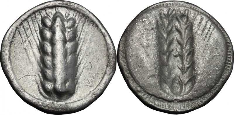 Greek Italy. Southern Lucania, Metapontum. AR Stater, c. 510-470. D/ [TƎ]M. Barl...