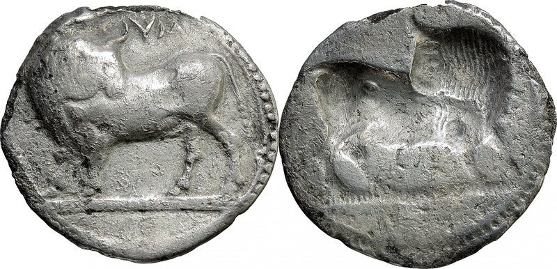 Greek Italy. Southern Lucania, Sybaris. AR Stater, 550-510 BC. D/ Bull standing ...